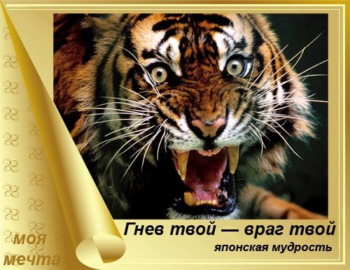 Школа выживания в Калининграде